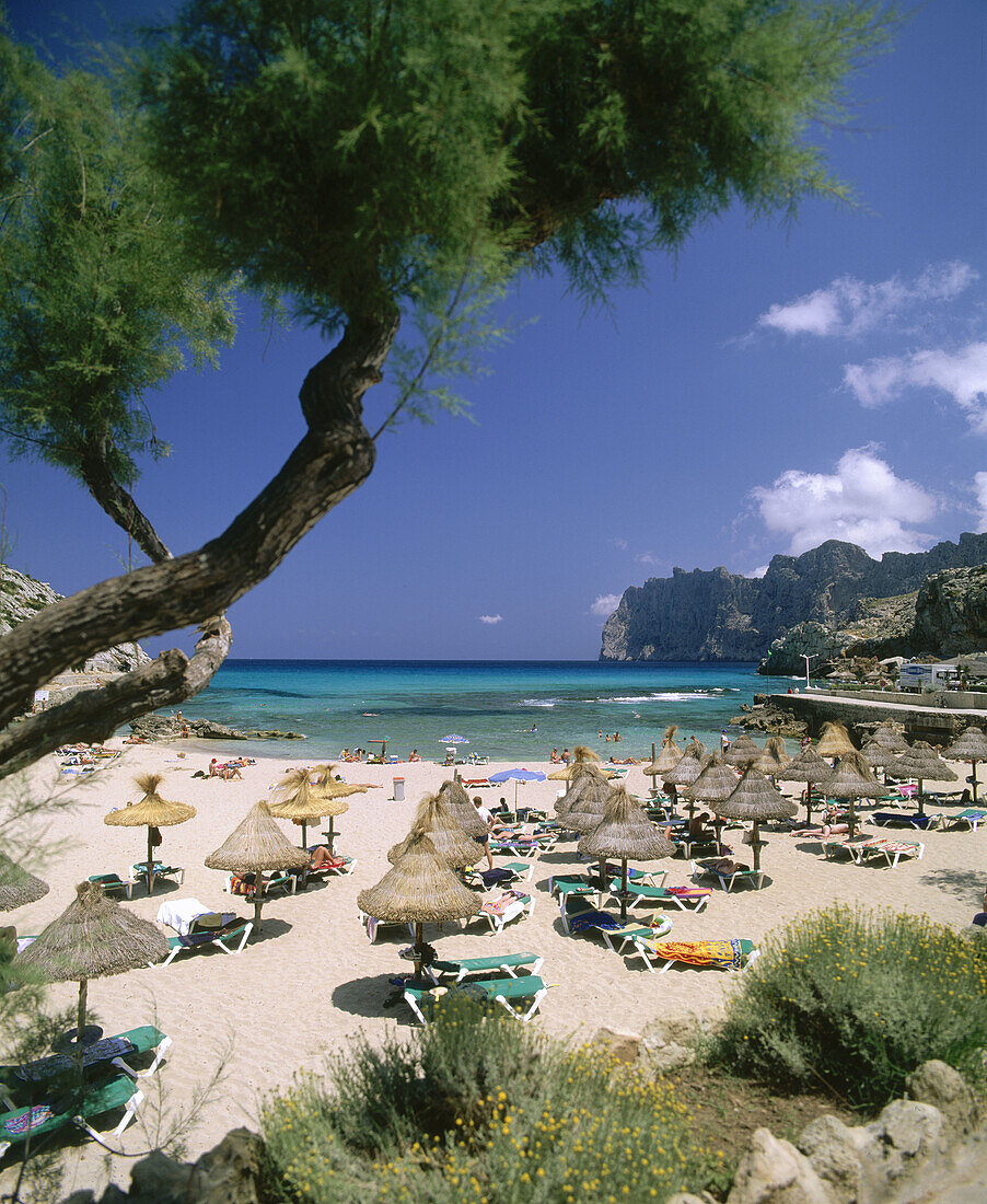 Cala San Vincente. Mallorca. Balearic Islands. Spain.