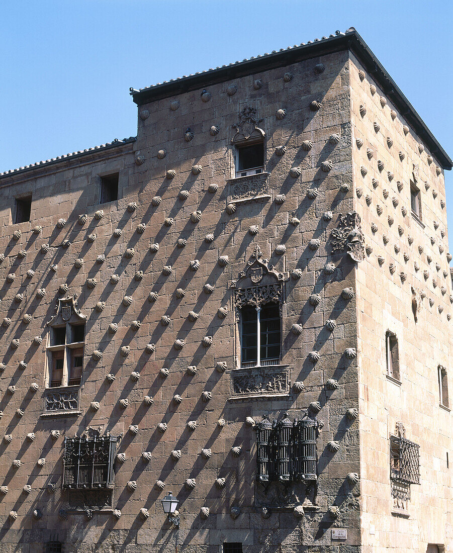 Casa de las Conchas. Salamanca. Spain