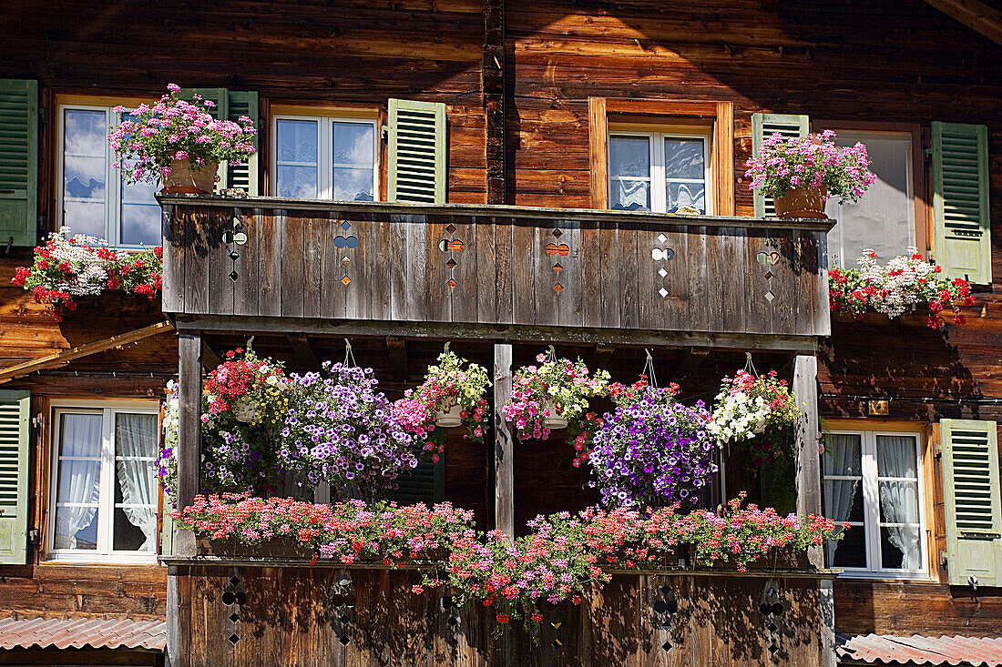 Traditional house. Grindelwald District. Switzerland.