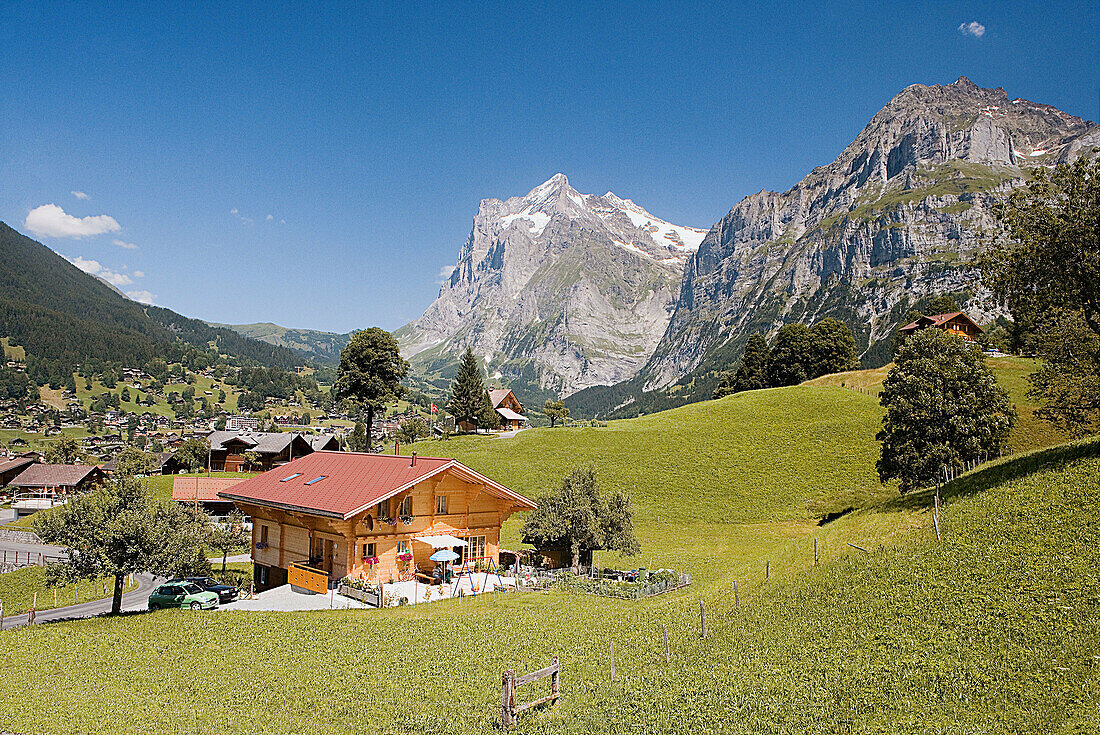 Grindelwald District. Switzerland.