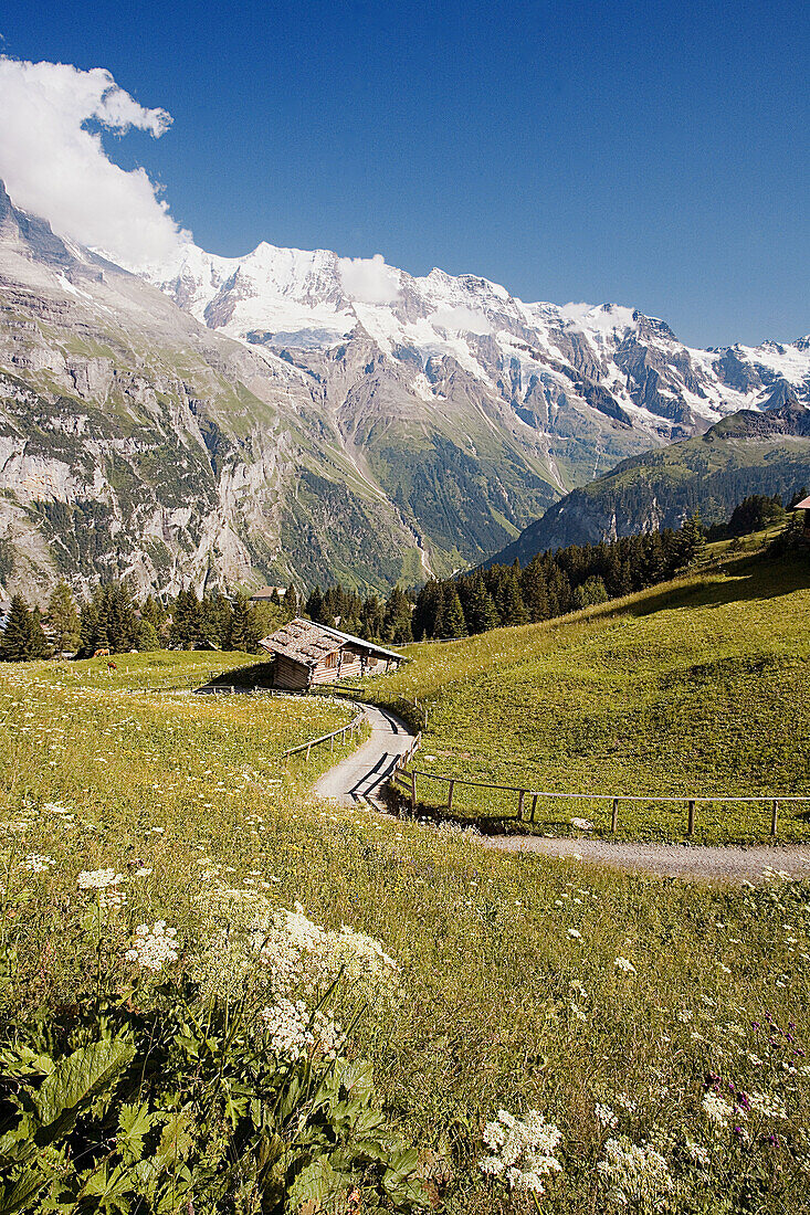 Jungfrau Mountain. Murren City. Lauterbrunen Valley. Near Interlaken City. Switzerland.