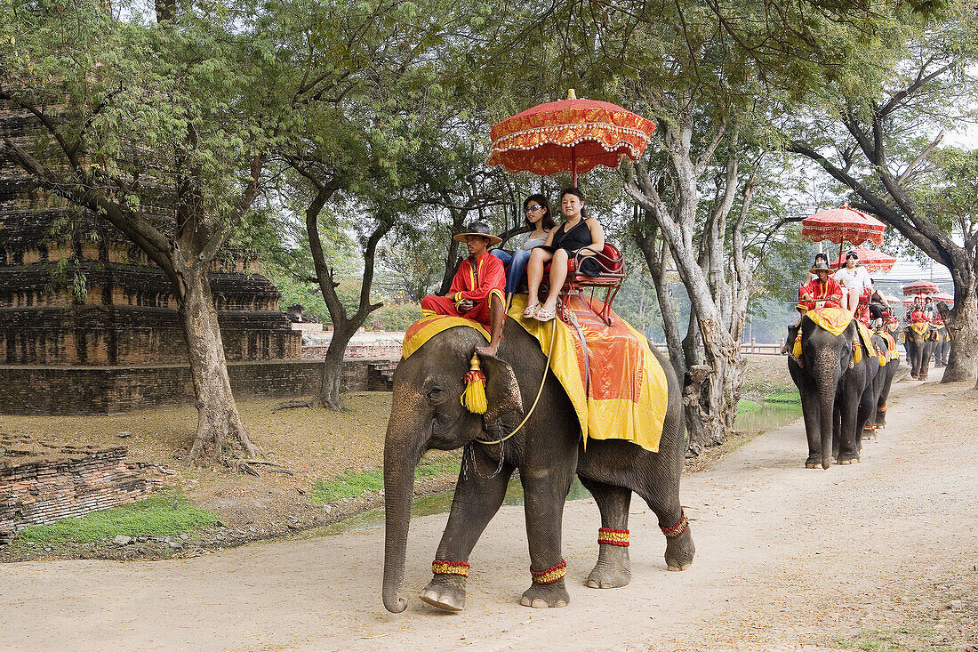 Elephant ride among the ruins of ancient Ayutthaya. Ayutthaya City. Thailand. January 2007.