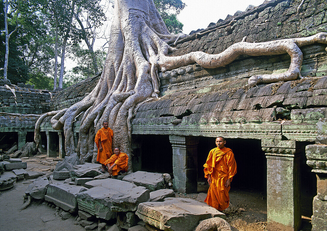 Ruins of Angkor Wat (W.H.). Cambodia. January 2007