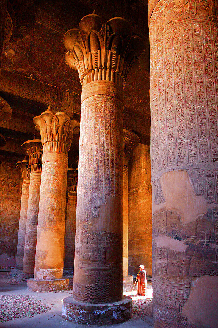 The greco roman temple of Esna. Esna City. Egypt.