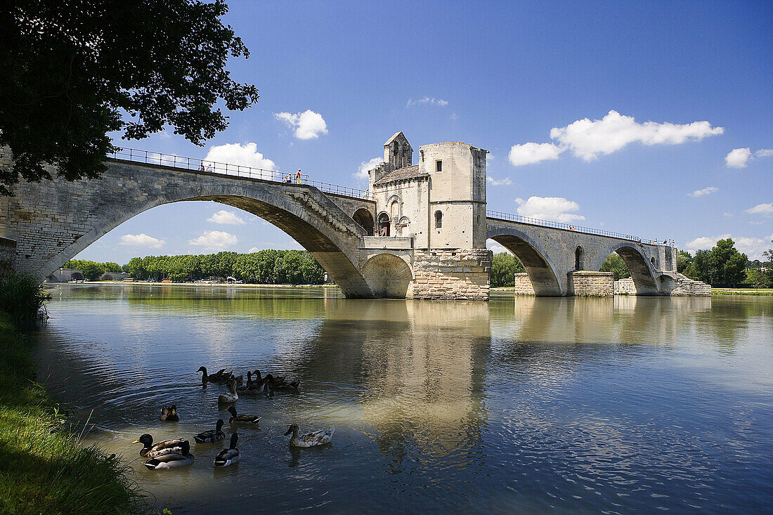 The Bridge of Avignon (W.H.). Avignon. France. June 2007