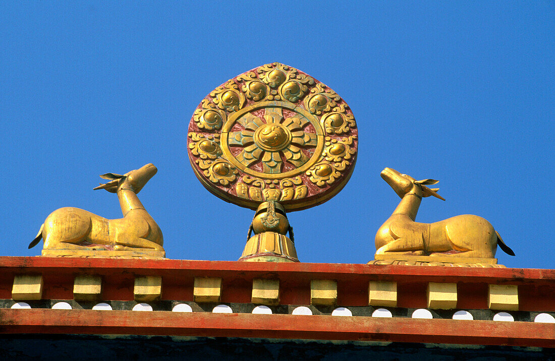 Deers and wheel of Peace, religious symbols of buddhism. Tibetan Monastery of Bodhgaya. Bihar. India