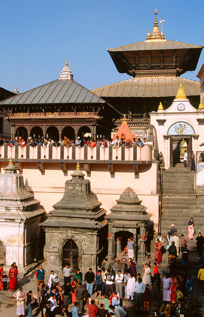 Pashupatinath Temple. Kathmandu. Nepal