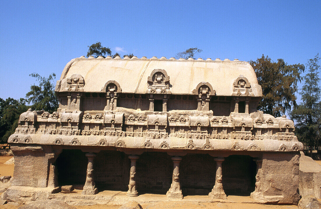 Richly carved monolithic Ratha. The Five Rathas. Mamallapuram. Tamilnadu. India