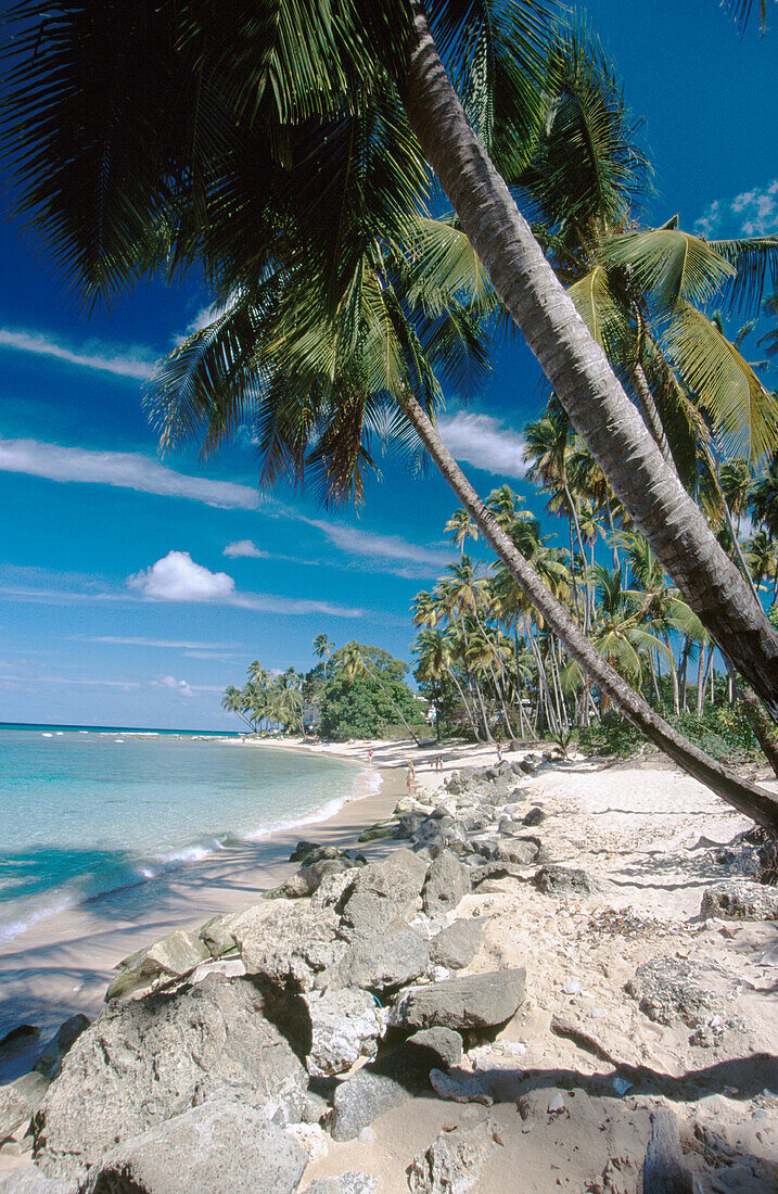 King s Beach. West Coast. Barbados. West Indies