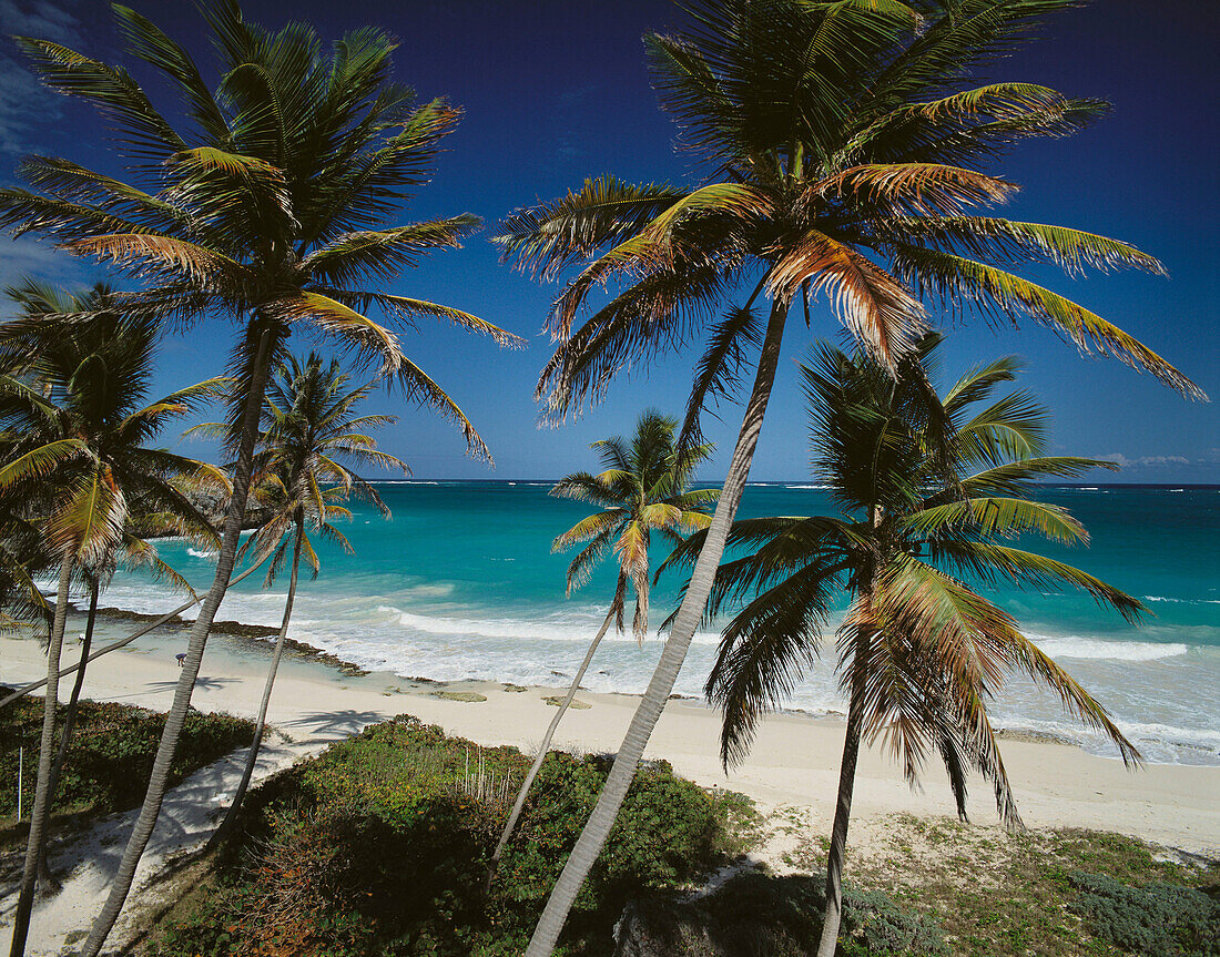 Harrismith Bay. Barbados. West Indies