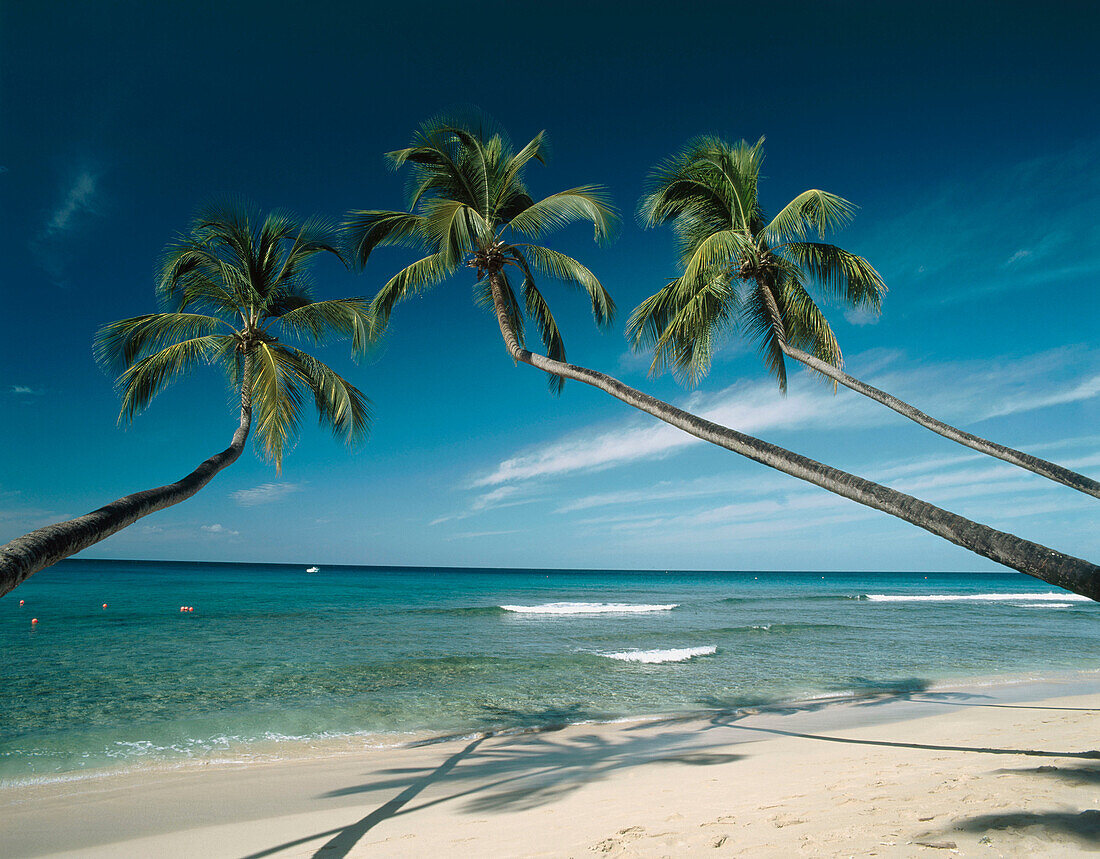 King s Beach. West Coast. Barbados. West Indies