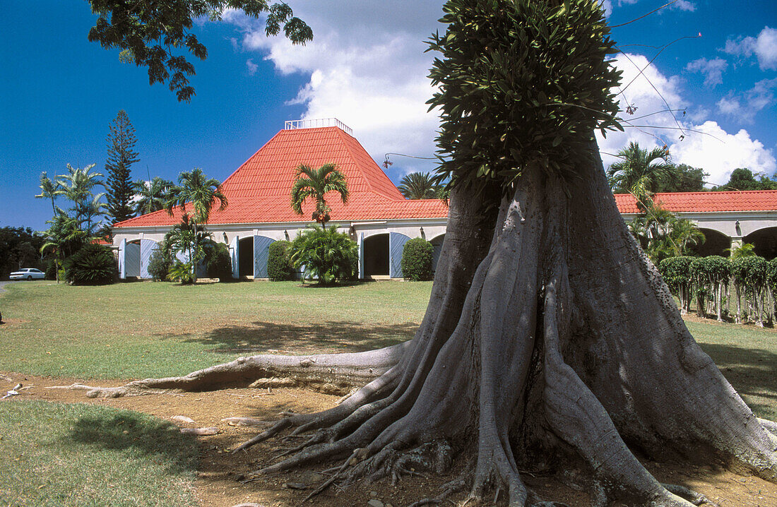 St. George Botanical Gardens. St. Croix. US Virgin Islands. West Indies. Caribbean