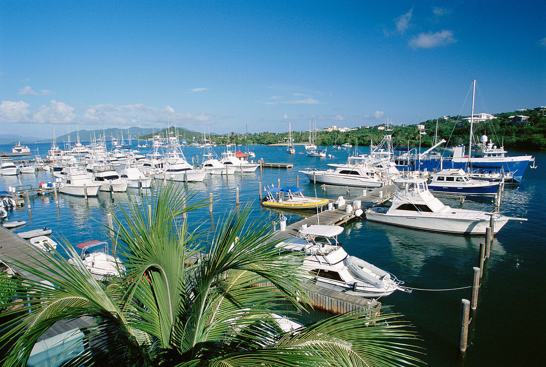 American yacht harbour, Red Hook, St. Thomas, US Virgin Islands. West Indies, Caribbean