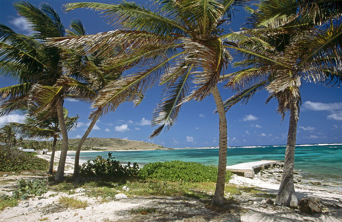 Saint Martin Island. French West Indies.