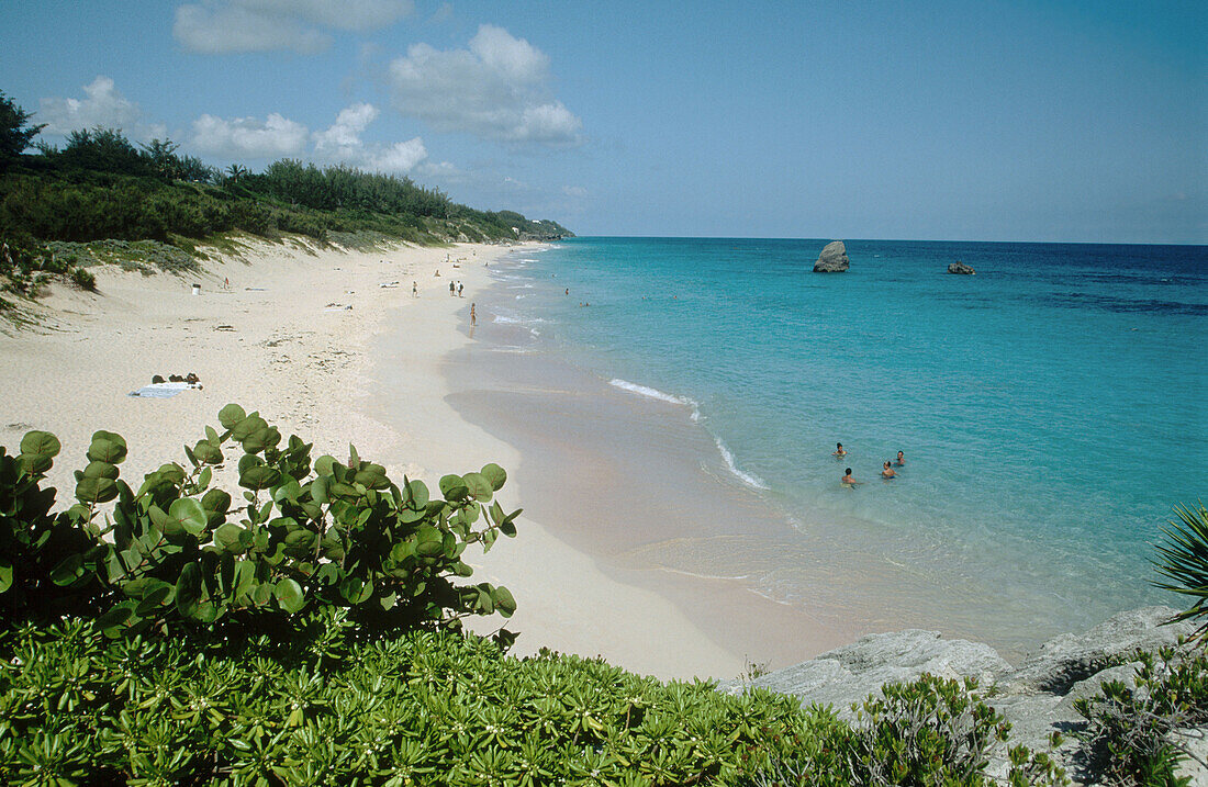 Warwick Long Bay Beach, Bermuda.