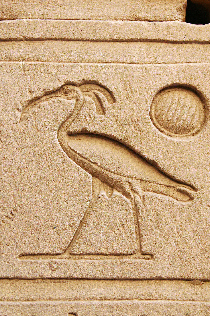 Stone relief at the temple of Horus in Edfu. Egypt.