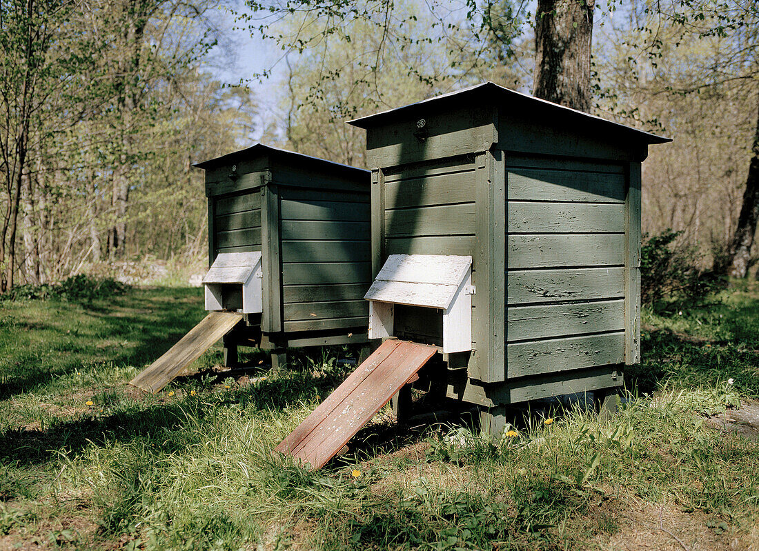 Bee hives in spring. Sweden.