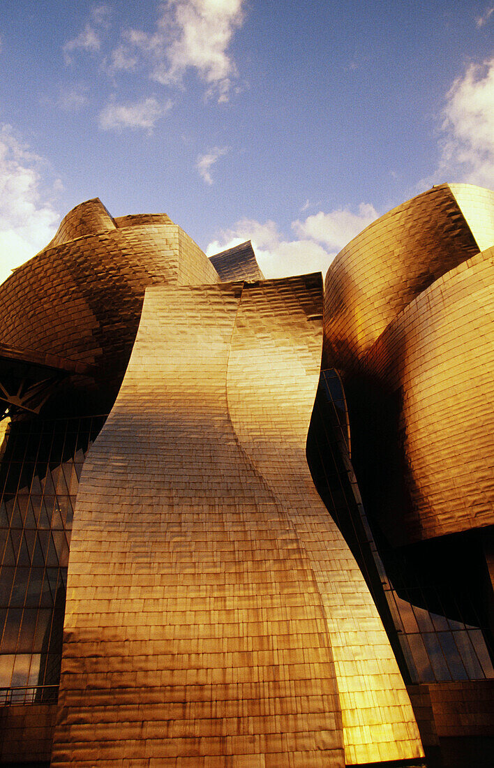 Guggenheim Museum, by Frank O. Gehry. Bilbao. Biscay. Spain