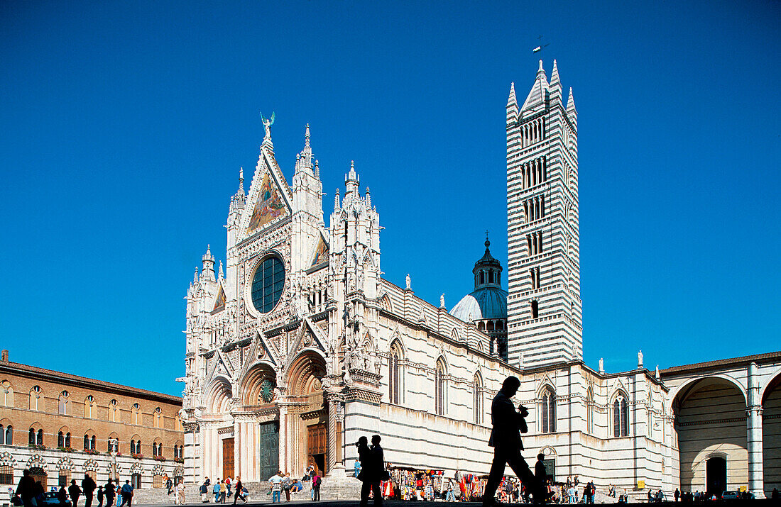 Duomo. Siena. Italy