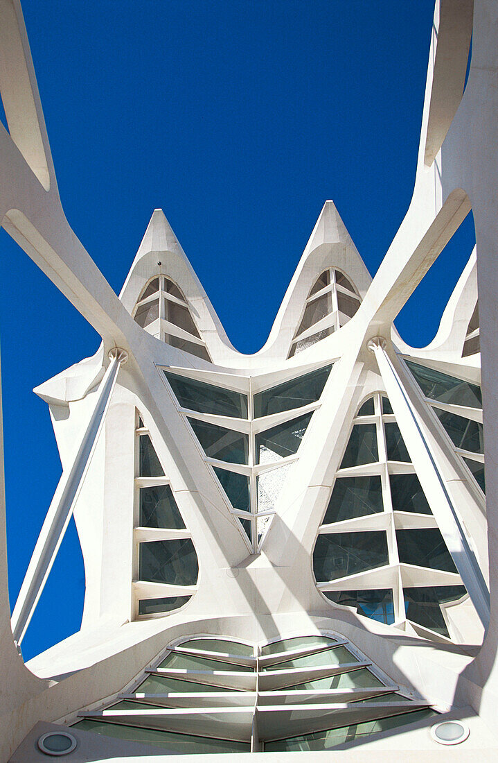 Detail of Museo de las Ciencias Príncipe Felipe, City of Arts and Sciences, by S. Calatrava. Valencia. Spain