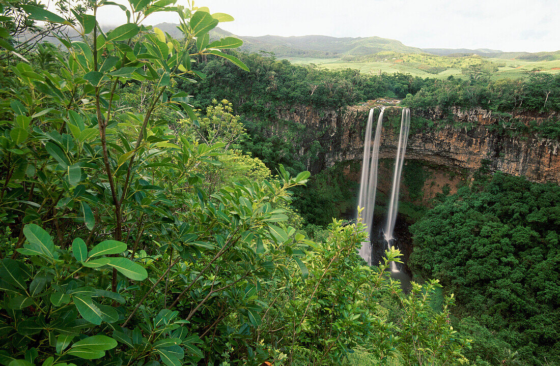 Waterfall. Chamarel. Mauritius