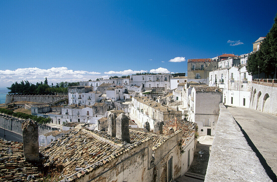 Monte Sant Angelo. Gargano area. Puglia. Italy