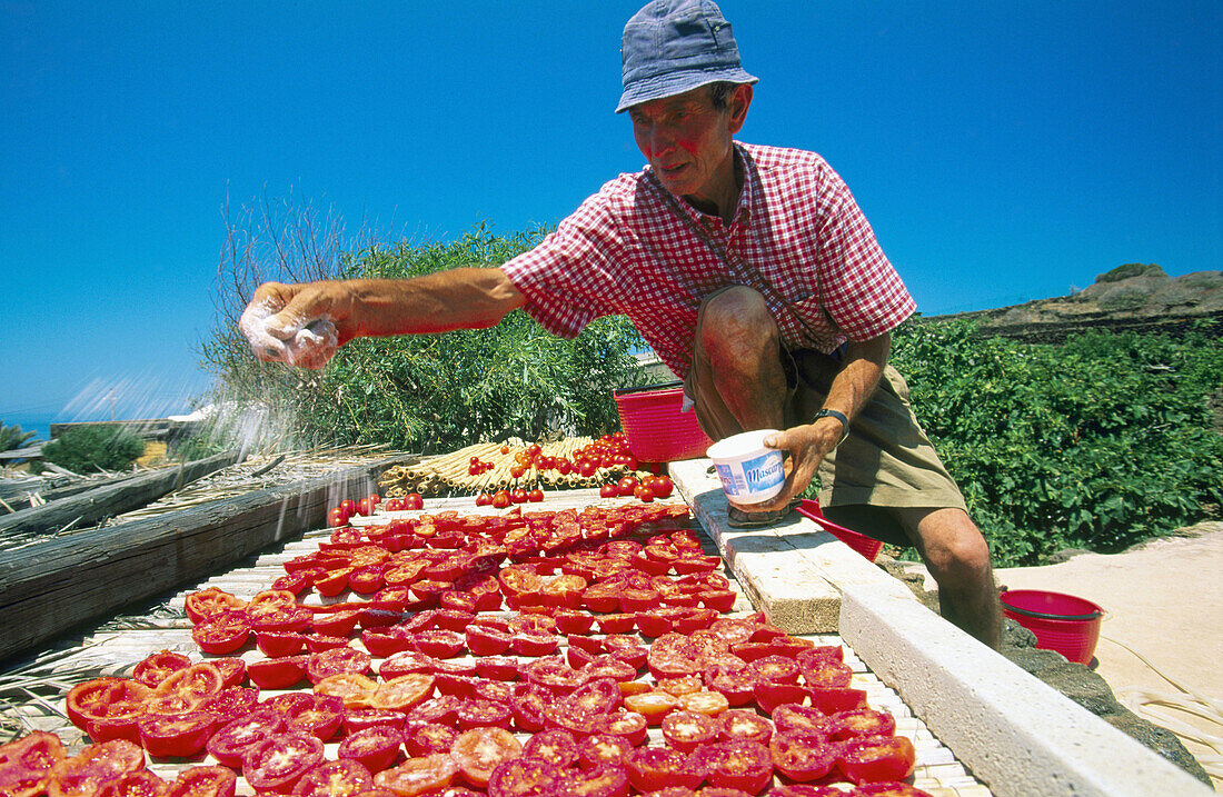 Making sundried tomatoes. Scauri. Pantelleria Island. Sicily. Italy