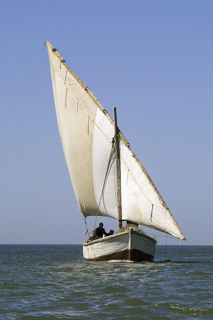 Imraguen fishermen on traditional sailing boat at Tidra, an island in the Banc d Arguin National Park (Unesco World Heritage). Banc d Arguin. Mauritania.