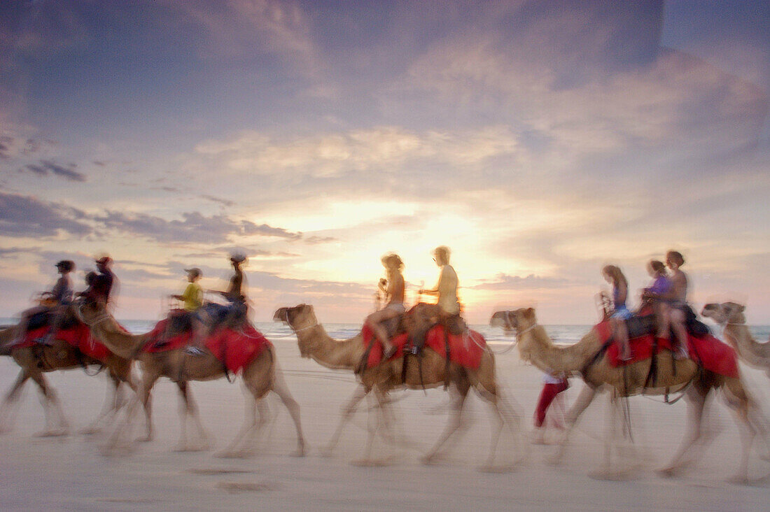 Sunset camel ride along the beach. Broome. Western Australia. Australia.