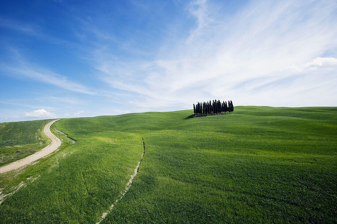 Val d Orcia. Landscape near Torrenieri (UNESCO World Heritage). San Quirico d Orcia. Italy.