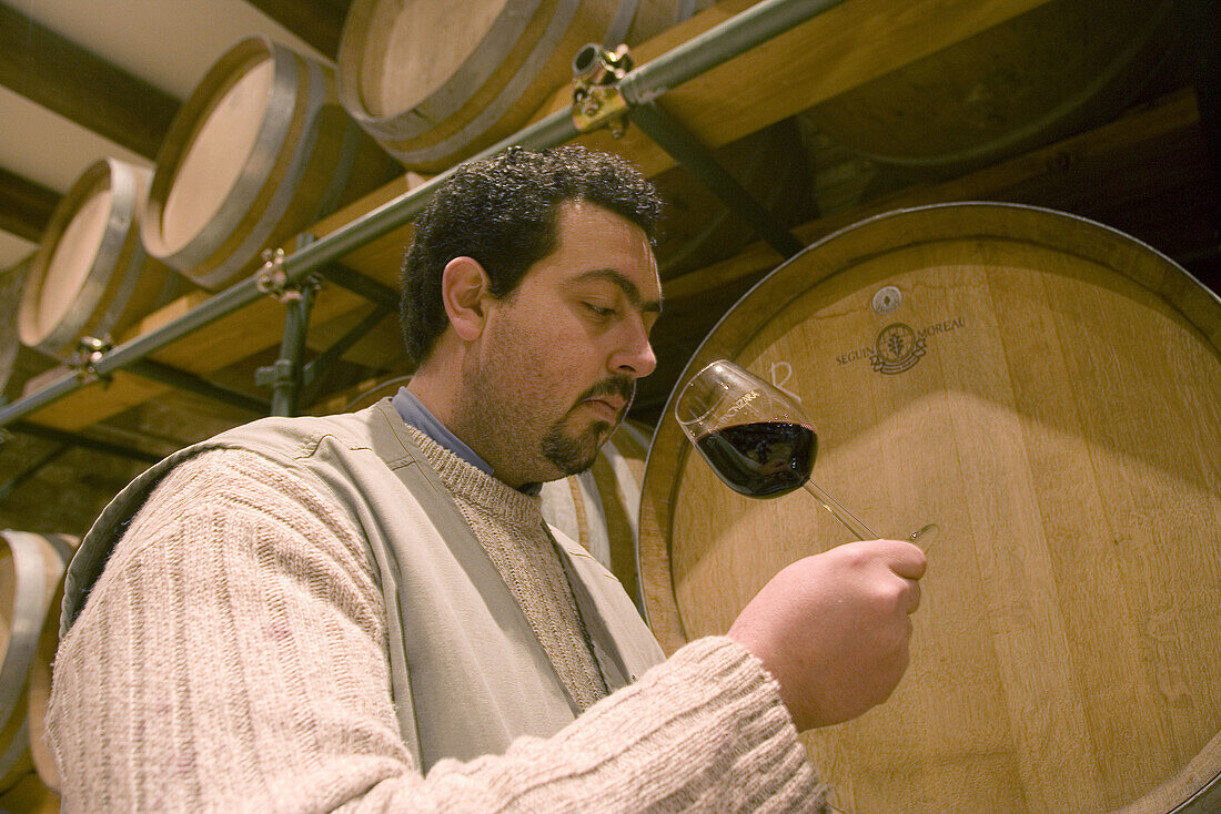 Tenuta Bonzara Wine Producer, the winecellar. Monte San Pietro, Bologna , Italy.