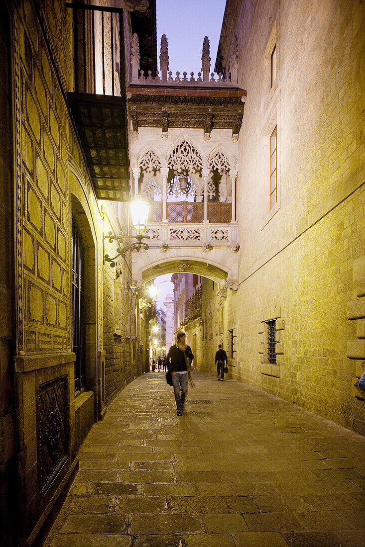 Carrer del Bisbe. Gothic Quarter. Barcelona. Spain