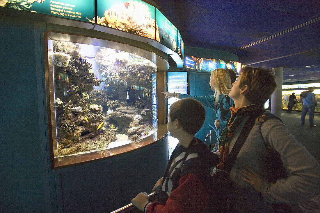 Aquarium. Barcelona. Cataluña. Spain