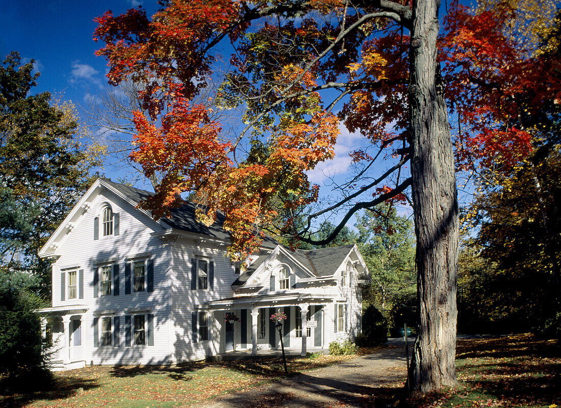A cottage near the village. Lenox. Massachusetts (Berkshire). USA.