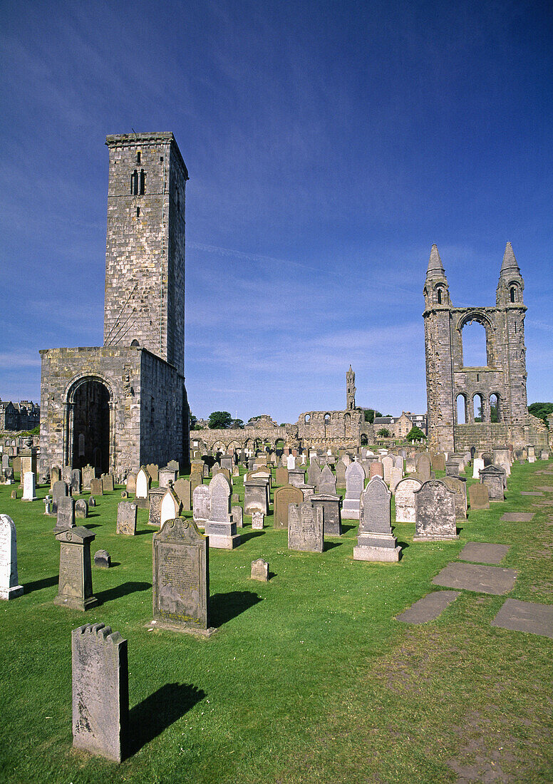 The ruins of the Cathedral. St. Andrews. Fife. Scotland. UK.