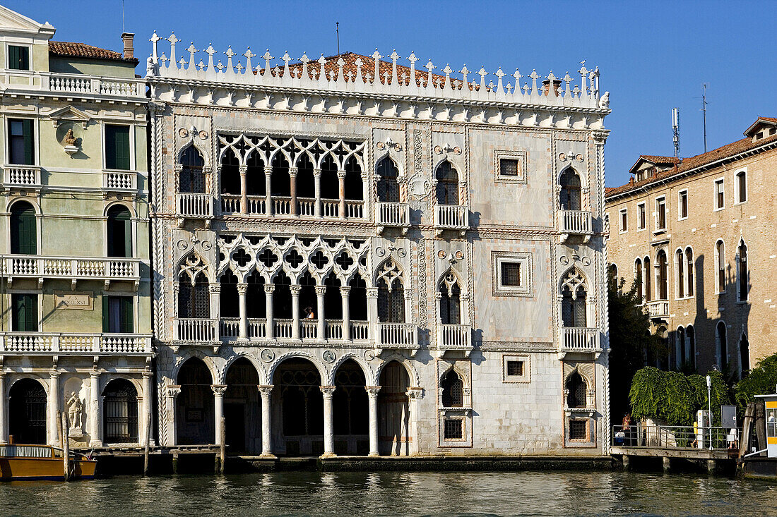 Canal Grande. The Ca d Oro. Venezia (Venice). Italy.