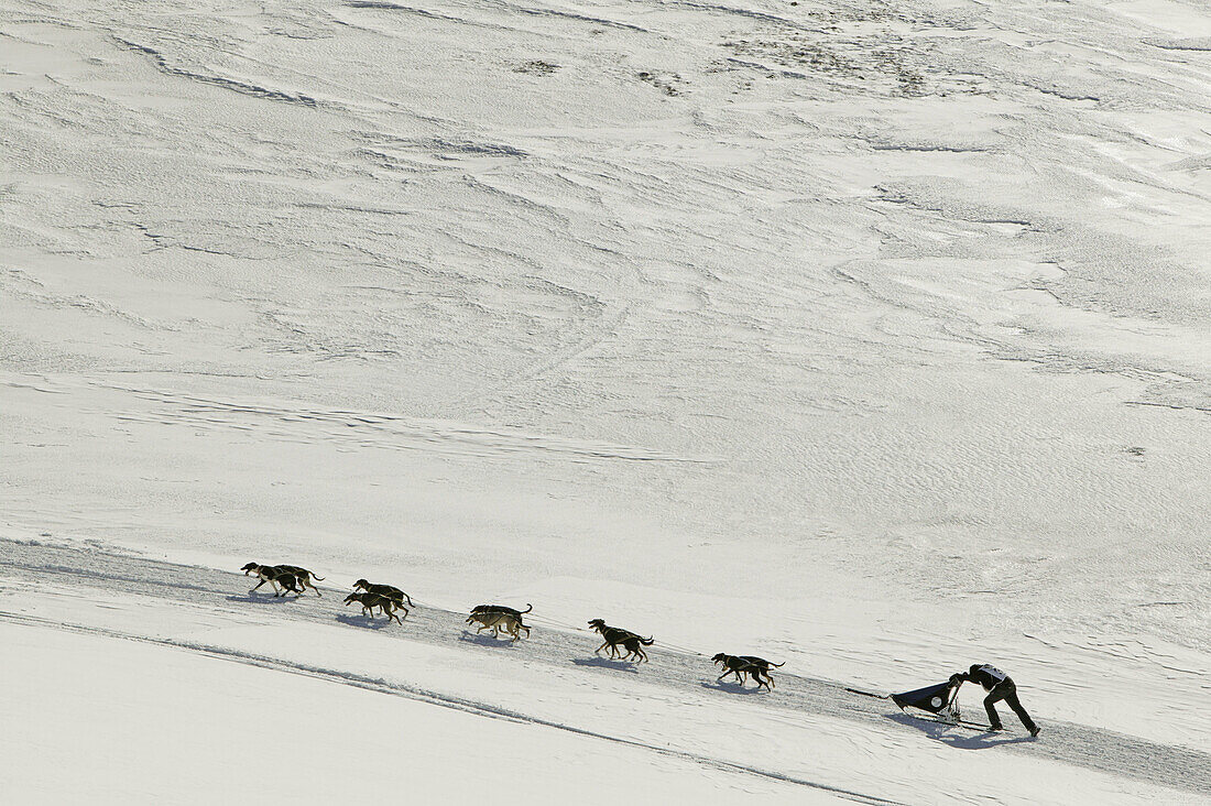 Pirena. Sled dog race in the Pyrenees going through Spain, Andorra and France. La Rabassa. Andorra