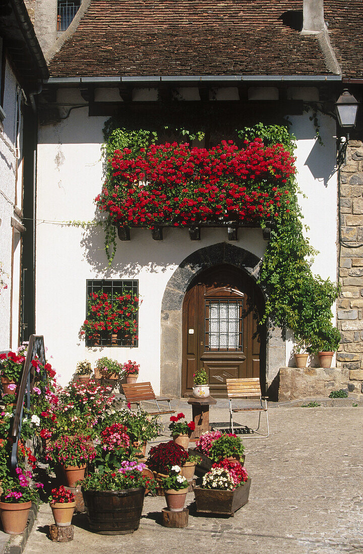 Valle de Hecho. Huesca province. Aragon, Spain