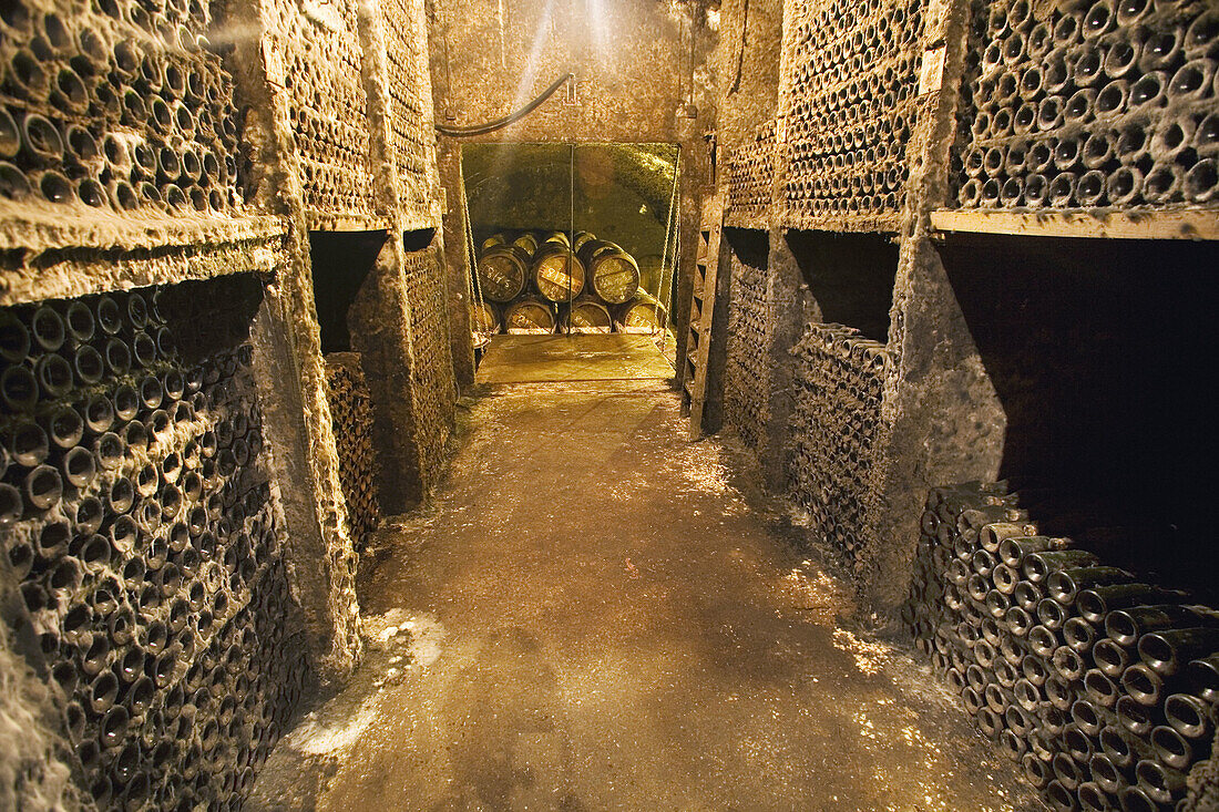 Lopez de Heredia winery. Wine aging in old bottles. Villa Tondonia. Haro, La Rioja, Spain
