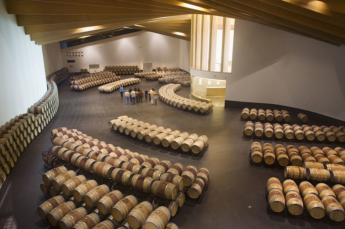 Bodegas Ysios. By Santiago Calatrava. Guided visit. Laguardia, Rioja alavesa. Alava. Euskadi, Spain