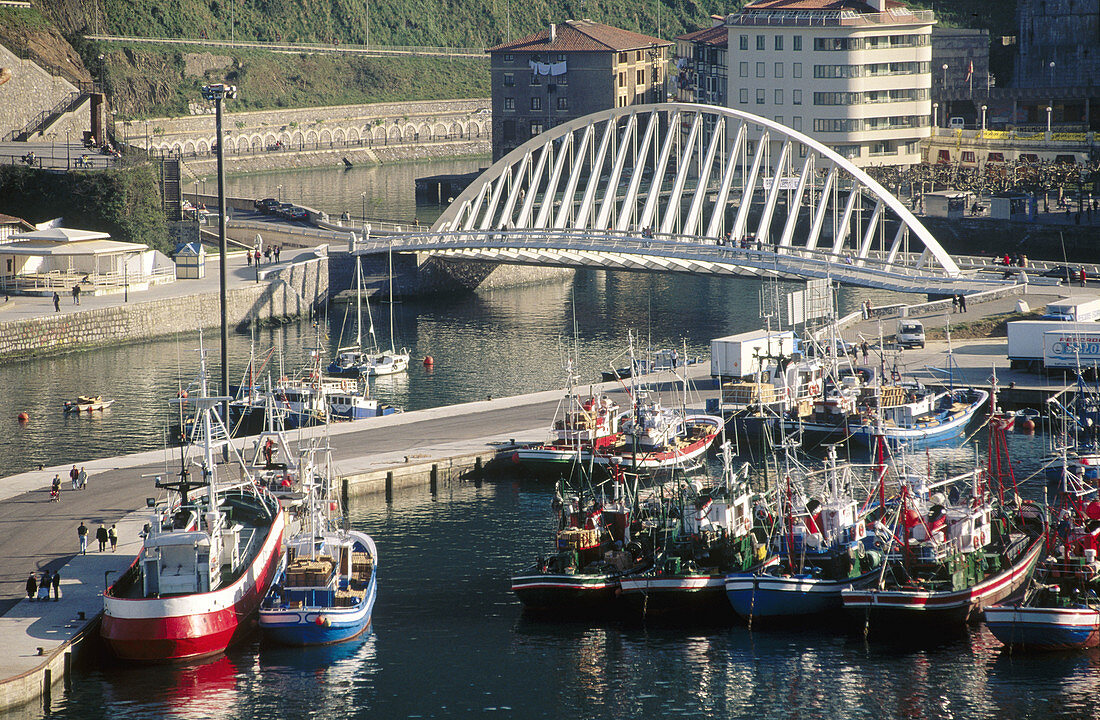 Calatrava bridge. Harbour. Ondarroa. Vizcaya. Euskadi. Spain.