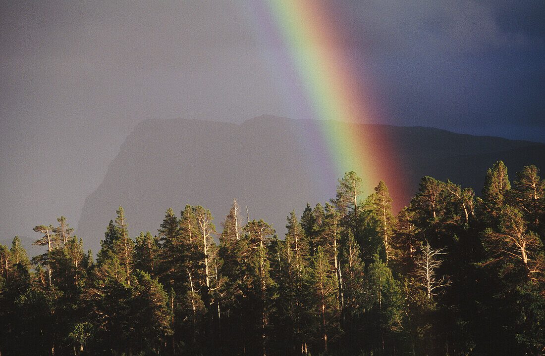 Rainbow. Stora Sjofallet National Park. Sweden.
