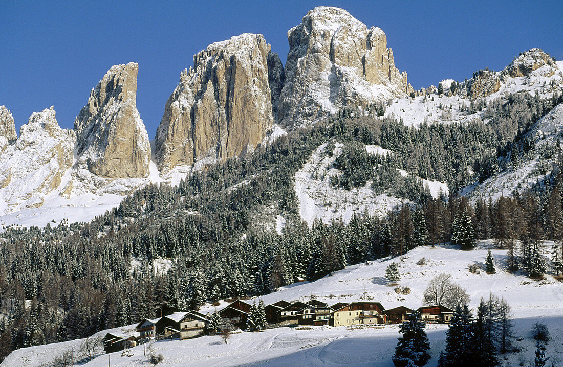 Houses of Campitello and Sassolungo. Fassa valley. Dolomites. Italy.