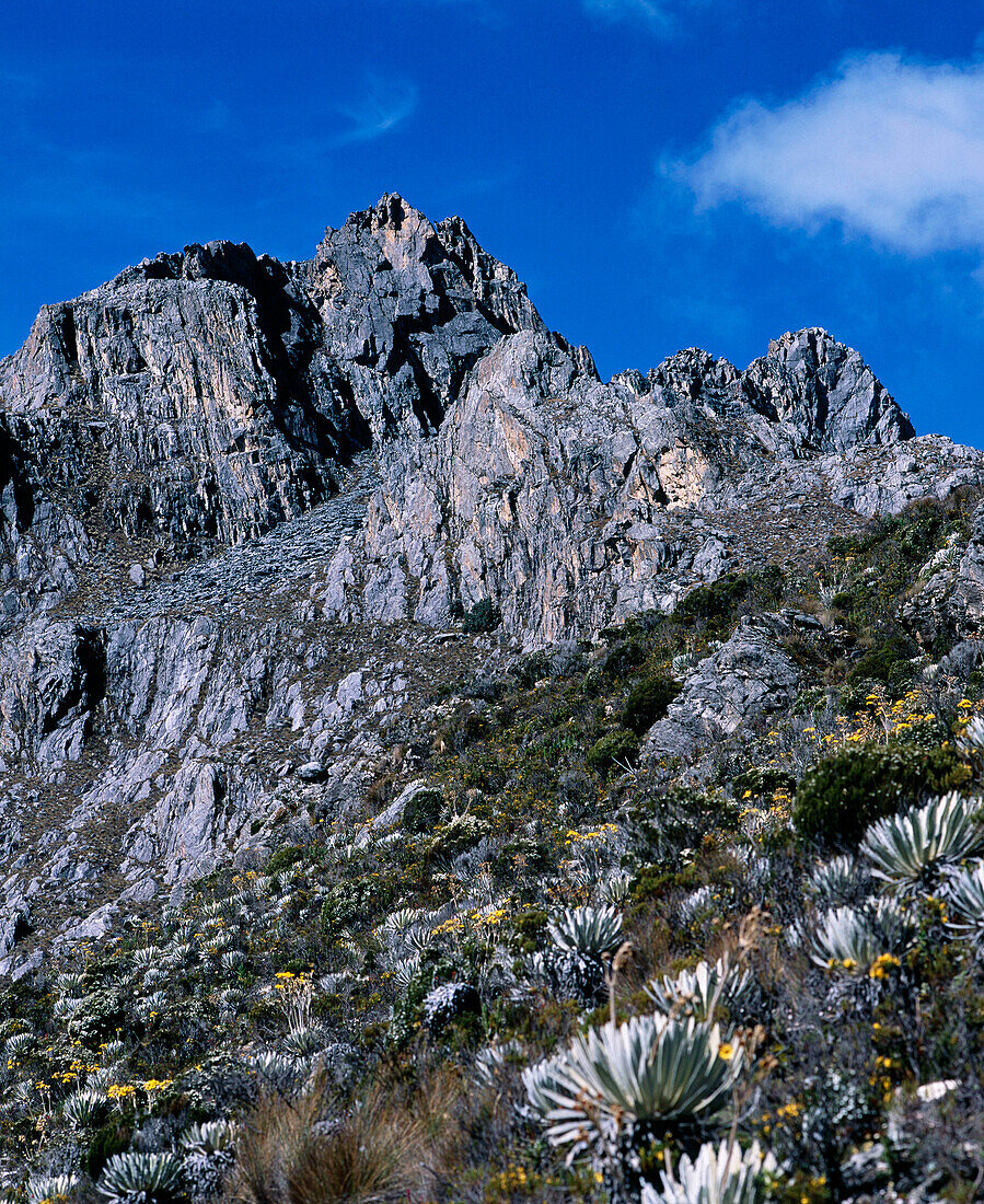 Peak Bolivar in Sierra Nevada National Park. Merida State. Venezuela