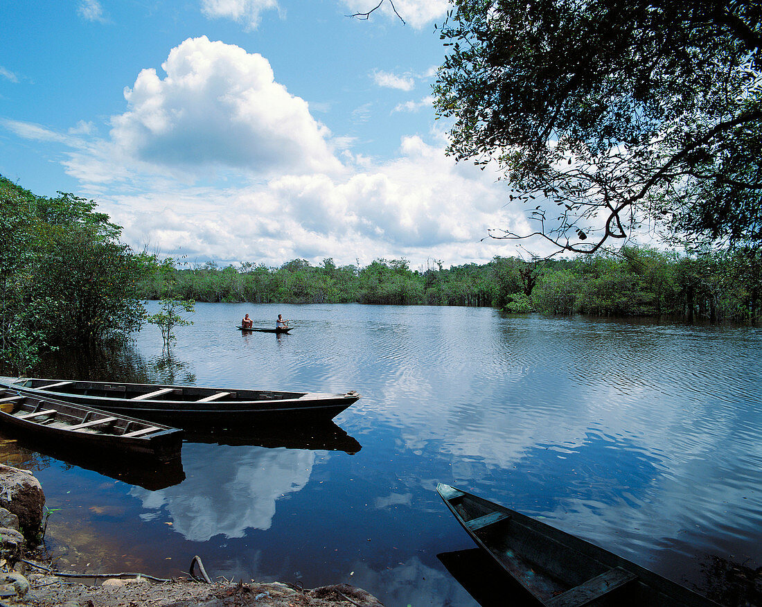 Rio Preto da Eva . Archipelago of Anavilhanas at Amazon River, near Manaus. Brazil