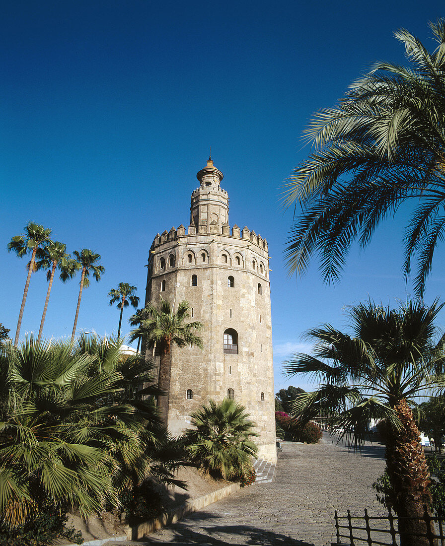 Torre del Oro, Sevilla. Andalusia, Spain
