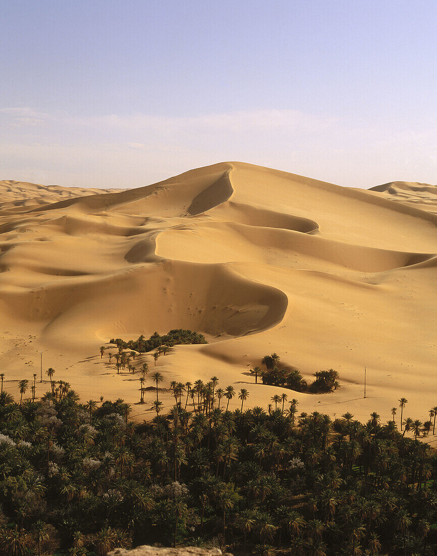 Oued Saoura oasis. Sahara. Algeria.