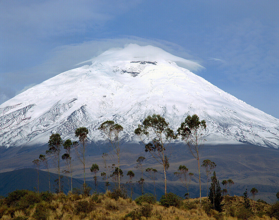 Cotopaxi volcano. Cotopaxi National Park. Ecuador.