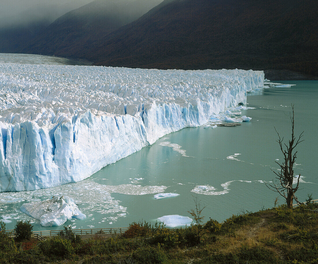 Perito Moreno Glacier. Parque nacional Glaciares. Patagonia. Argentina