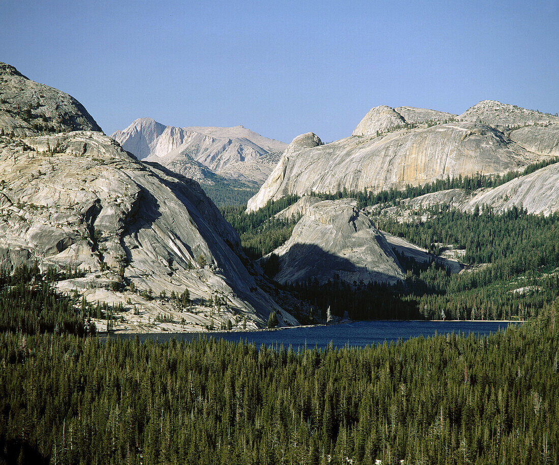 Tenaya Lake. Yosemite NP. California. USA.